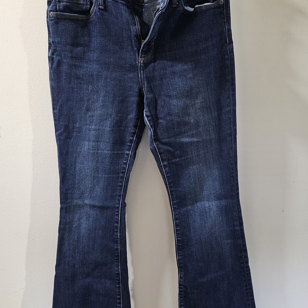 Banana Republic Blue Flare Wide Leg Jeans